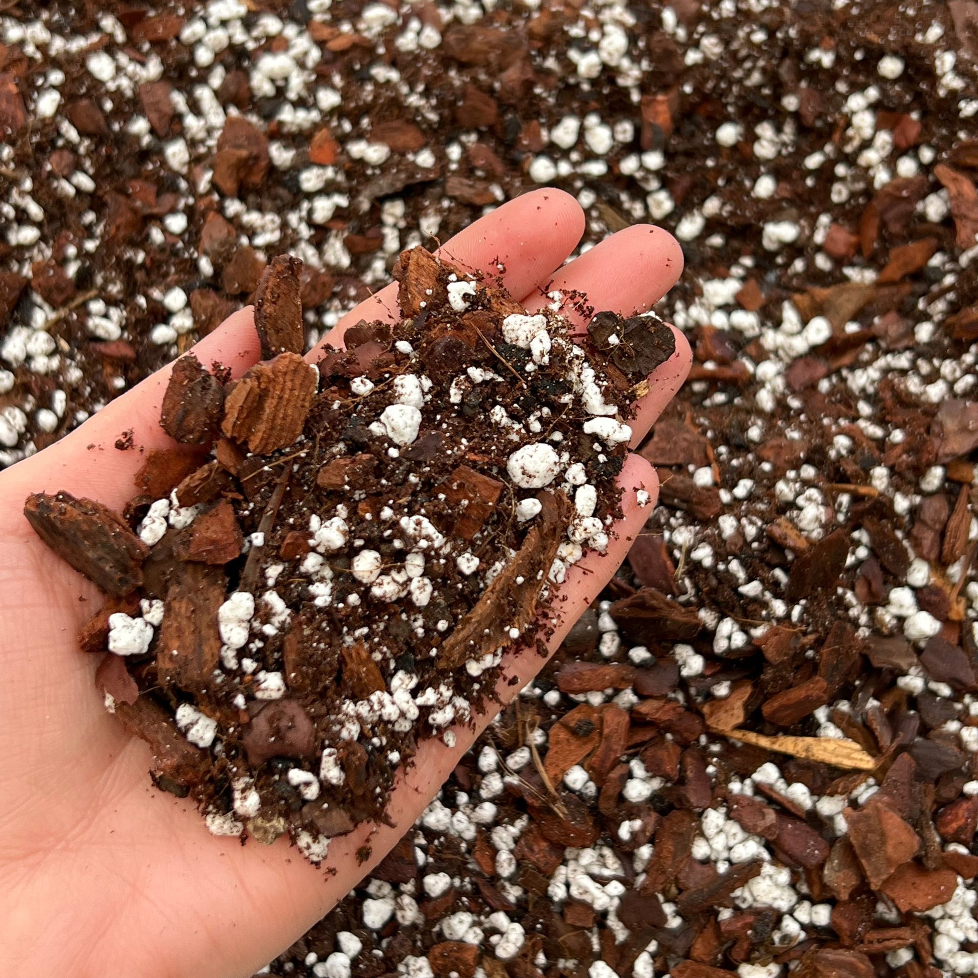 bonsai soil akadama bonsai soil bonsai soil mix bonsai soil for seedlings soil for bonsai