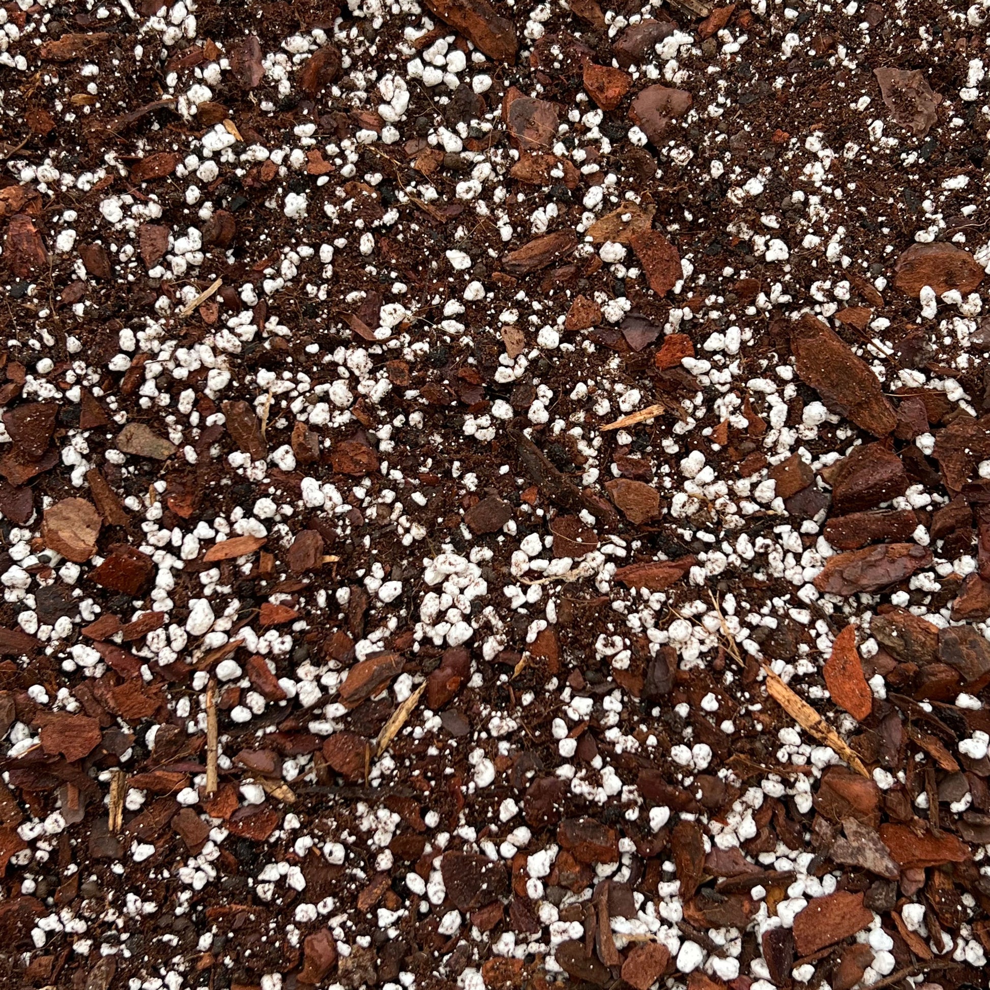 bonsai soil akadama bonsai soil bonsai soil mix bonsai soil for seedlings soil for bonsai