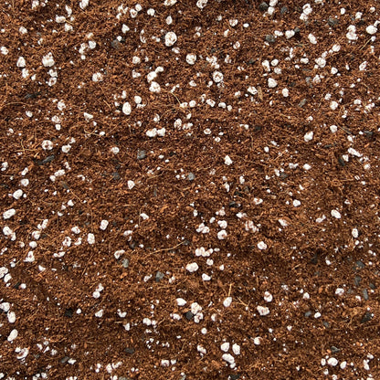 Coco Perlite Mix 70/30 with activated biochar