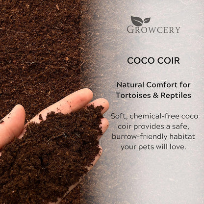 Hand holding soft coco coir reptile substrate, showing its fine texture suitable for tortoises and reptile enclosures.
