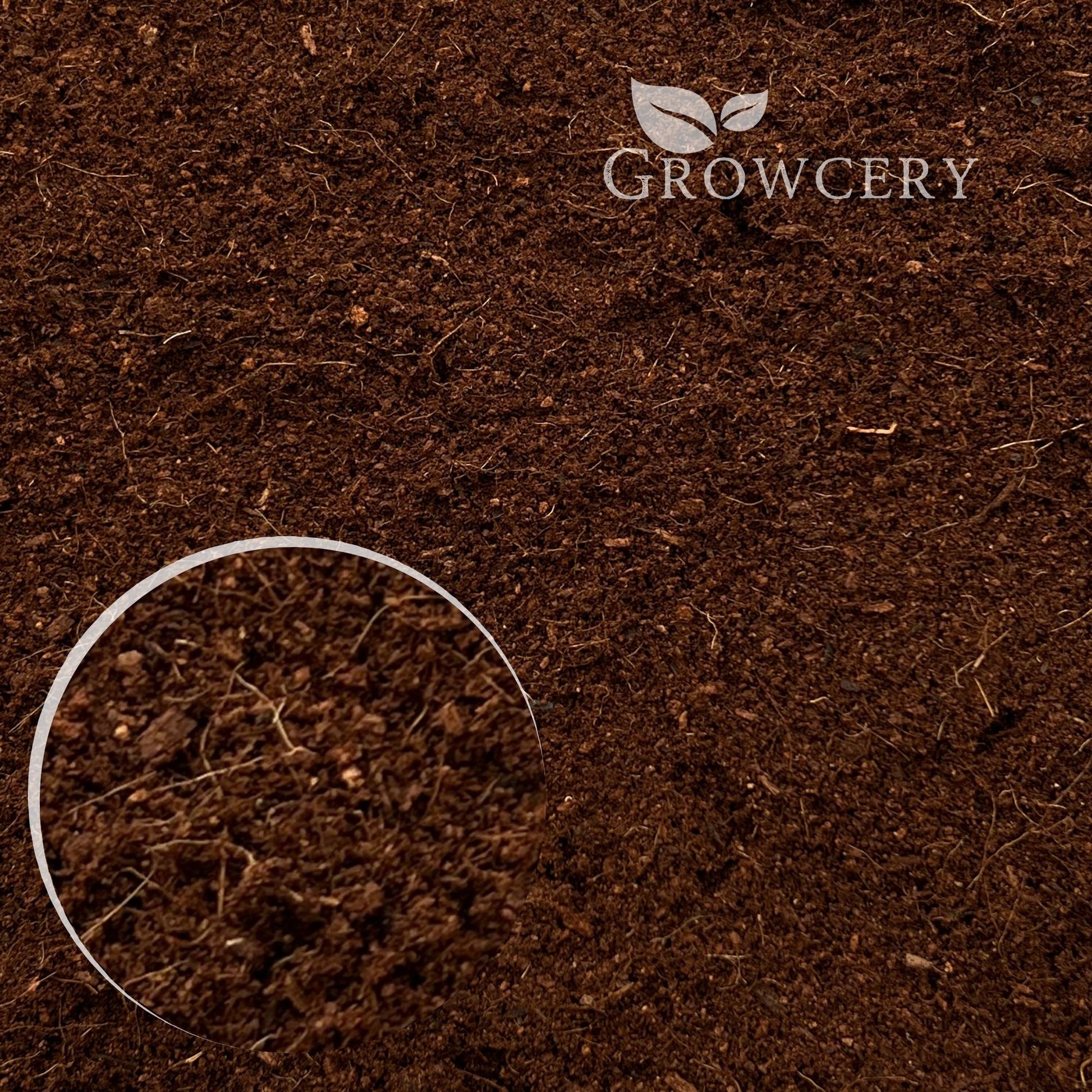 Close-up view of coco coir reptile substrate texture, showing natural fibers and fine particles for terrarium use.
