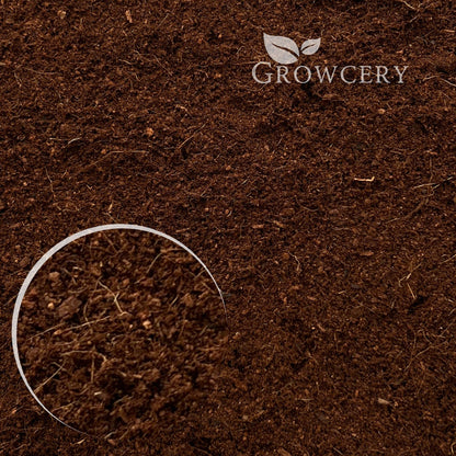 Close-up view of coco coir reptile substrate texture, showing natural fibers and fine particles for terrarium use.