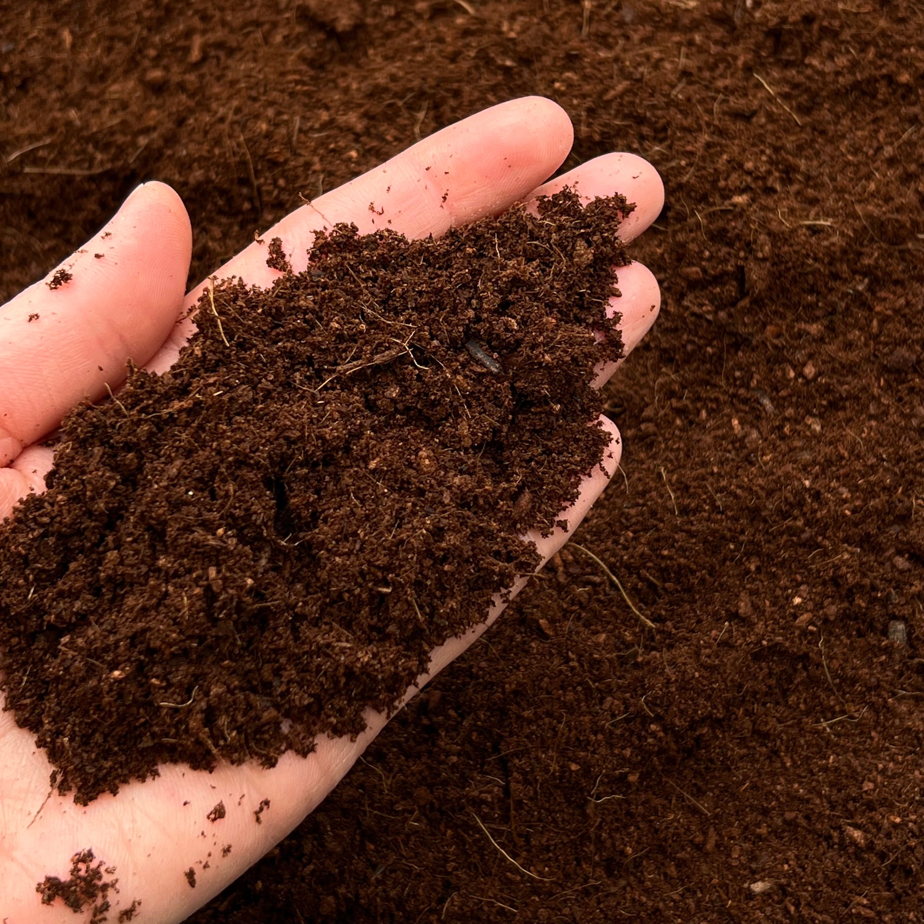 Coconut Coir fibre Hydroponics Substrate Compost – Growcery