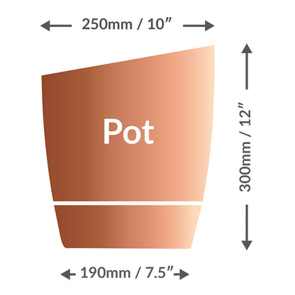 AutoPot Khloris Automatic Plant Watering System – 2 Pot Kit