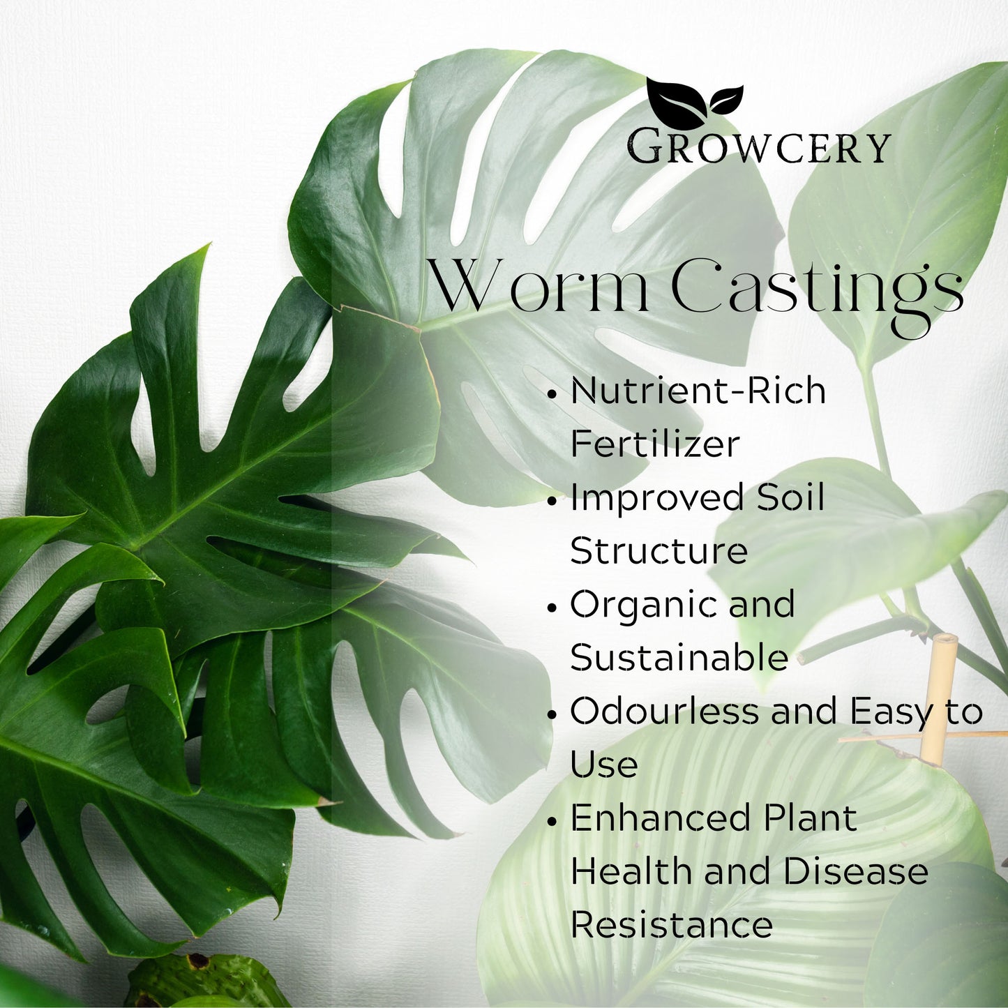 Growcery Worm Castings - Premium Fertiliser for Plants, Superior Soil Improver UK, and Rich Vermicompost for Enhanced Plant Health and Vigour, Fertiliser for plants outdoor and indoor