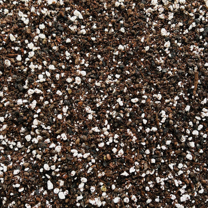 Premium Hydroponic Mix with Activated Biochar