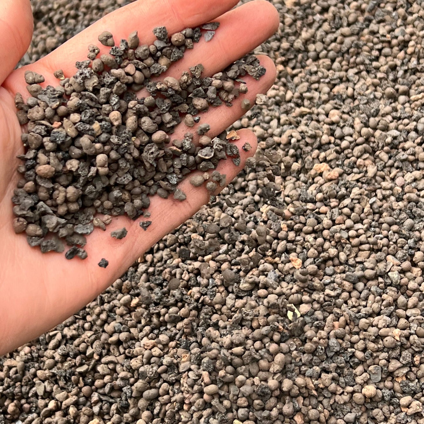 Leca Horticultural Grit, Clay Pebbles, Lava rock like, Fine Grade 2-4mm