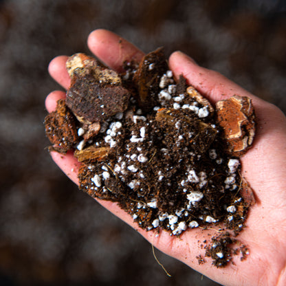 bonsai soil akadama bonsai soil bonsai soil mix bonsai soil for seedlings soil for bonsai