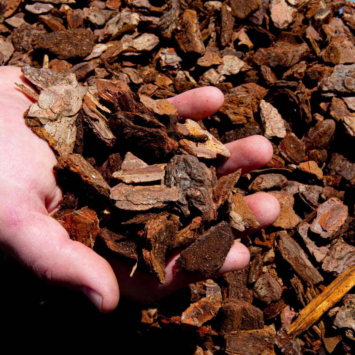 Premium Orchid Care Repotting Bark Coarse Grade 18-35mm