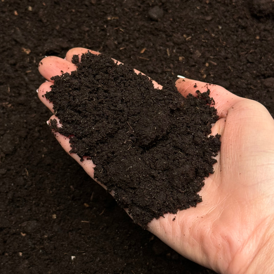 Premium Worm Castings, Soil Fertilizer, Plant Feed, Indoor Outdoor Use, Organic Gardening, Nutrient-Rich Soil, Sustainable Farming, All-Purpose Plant Food, Vermicompost, Soil Enrichment, Natural Soil Amendment, Healthy Plant Growth