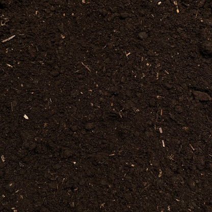 Premium Worm Castings, Soil Fertilizer, Plant Feed, Indoor Outdoor Use, Organic Gardening, Nutrient-Rich Soil, Sustainable Farming, All-Purpose Plant Food, Vermicompost, Soil Enrichment, Natural Soil Amendment, Healthy Plant Growth