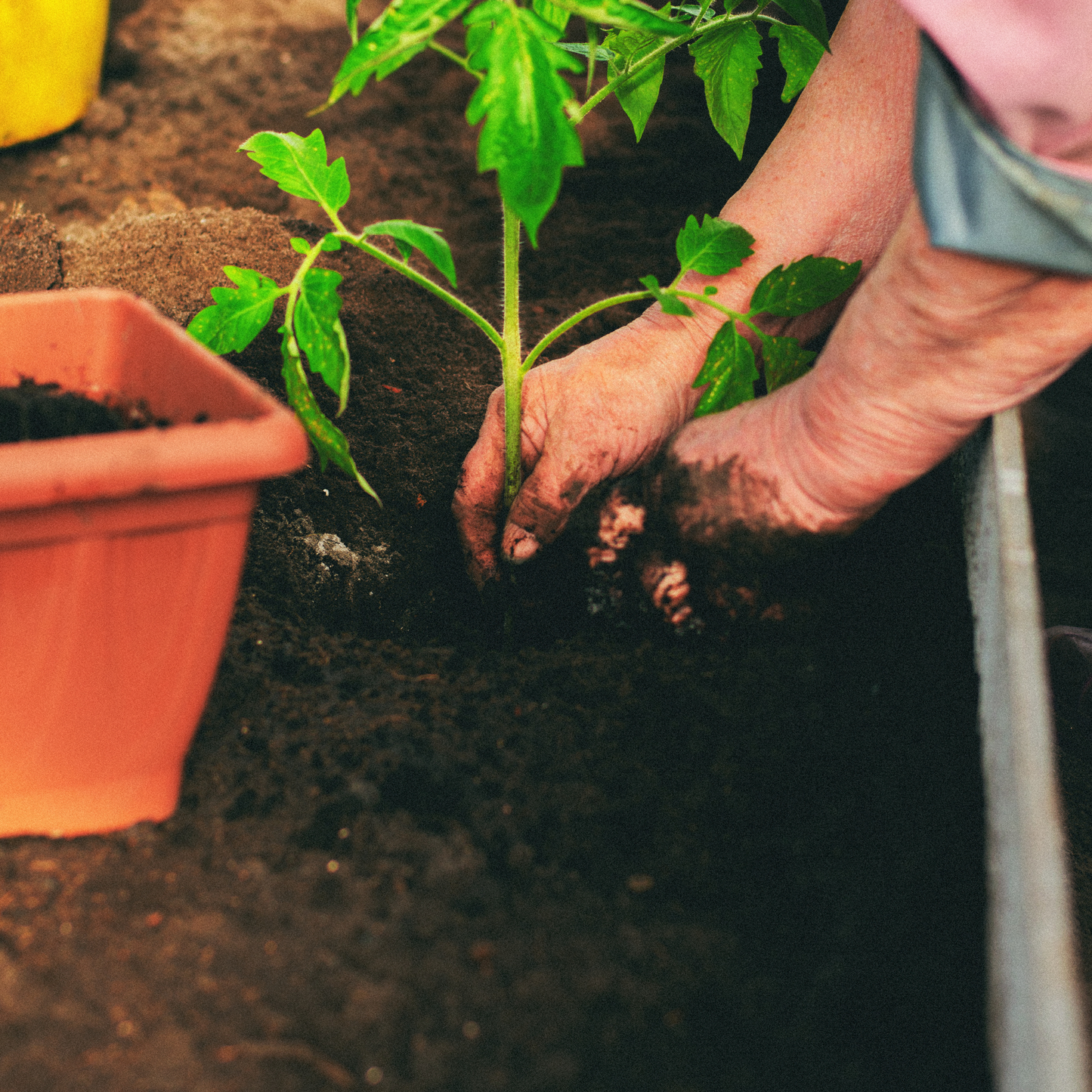 Organic coconut coir fiber, coco peat hydroponics, natural soil media, sustainable substrate, compost enriching, gardening essential, plant growth medium, eco-friendly cultivation, moisture-retaining coir, horticulture supplement.