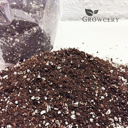 Close-up of bonsai potting mix with activated biochar and perlite, designed for healthy root development and excellent drainage