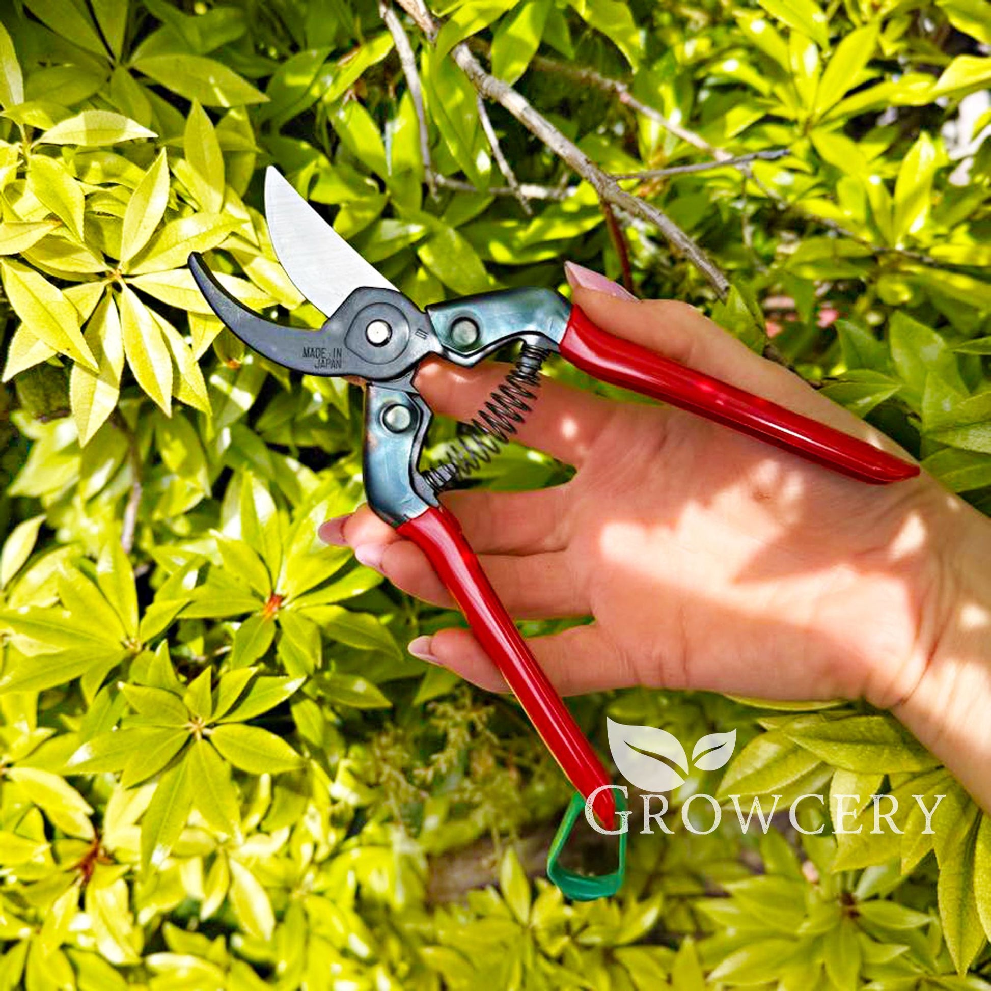 Close-up of CHIKAMASA PST-8 SK-5 steel blades and central pivot spring mechanism