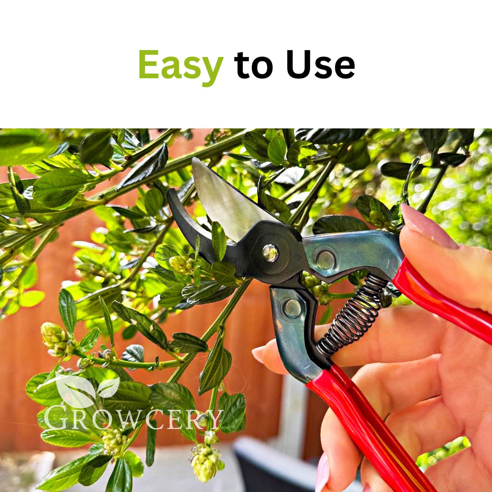 Pruning action of CHIKAMASA PST-8 shears trimming woody branch in garden