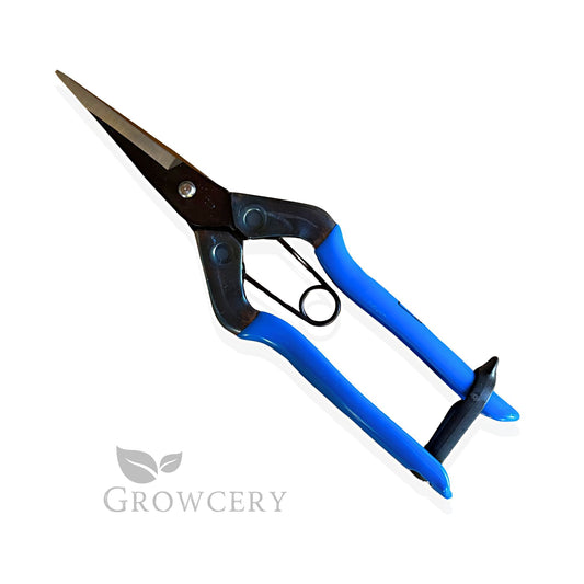 Chikamasa T-552 7″ carbon steel trimming scissors with ergonomic blue handles — front view