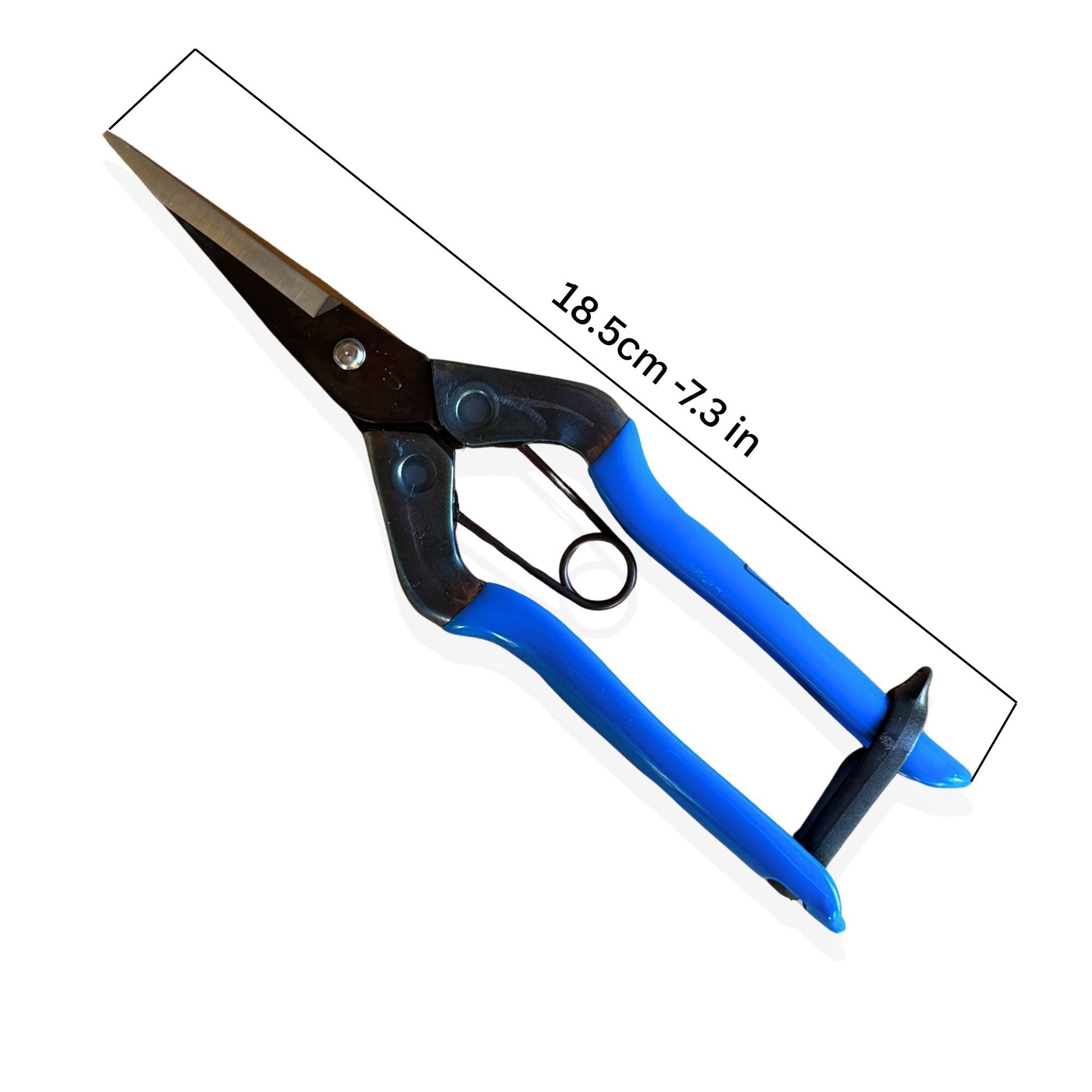 Close-up of Chikamasa T-552 carbon steel blade tip, 18.5 cm (7.3″) cutting length measurement