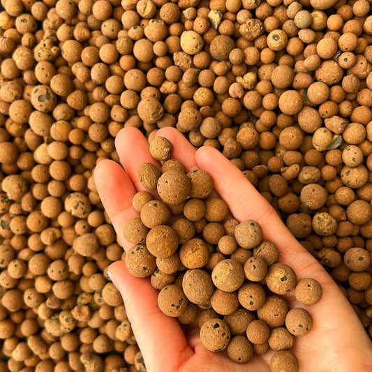 Natural clay pebbles for hydroponics and plant pots