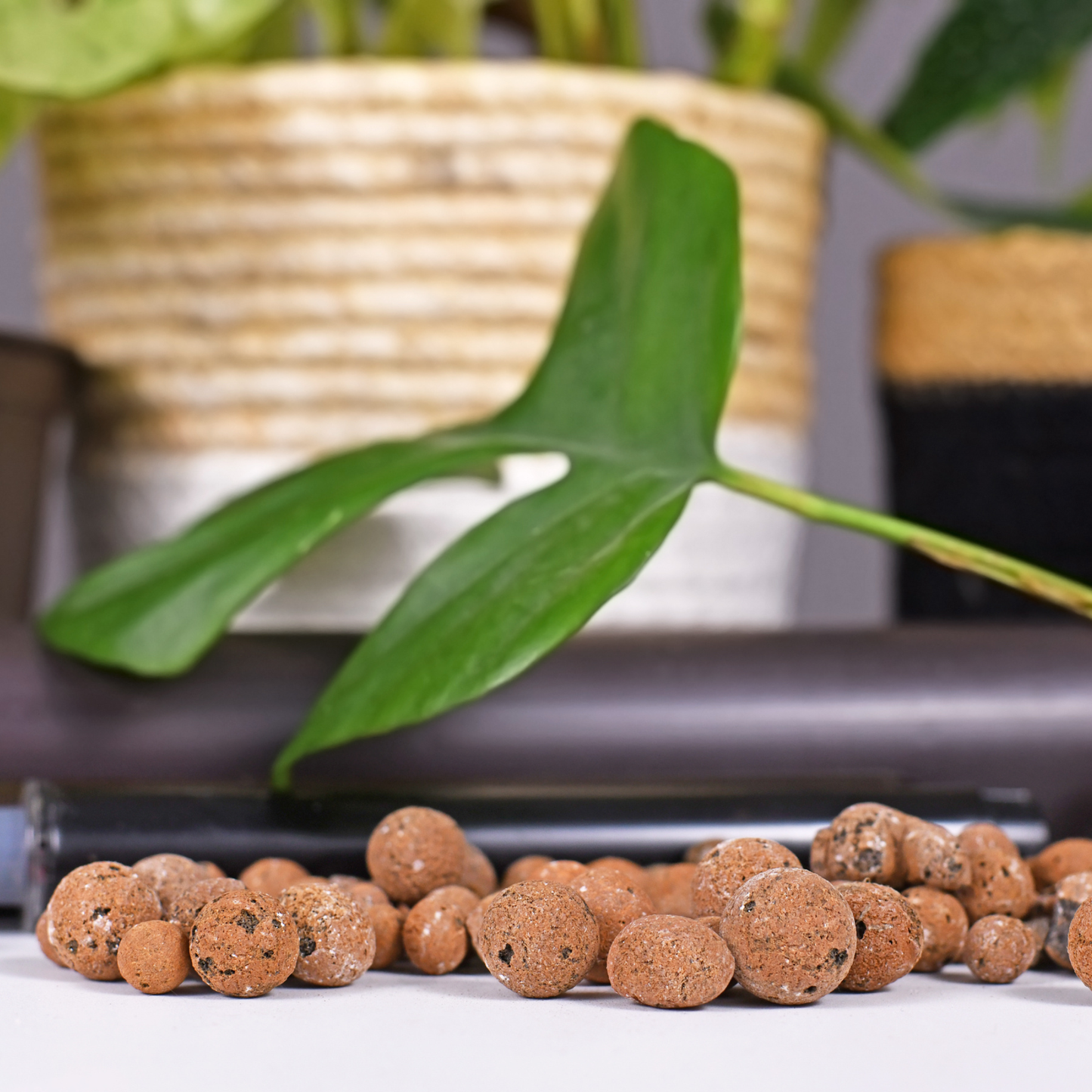 Clay balls ideal for orchid potting and hydroponic systems