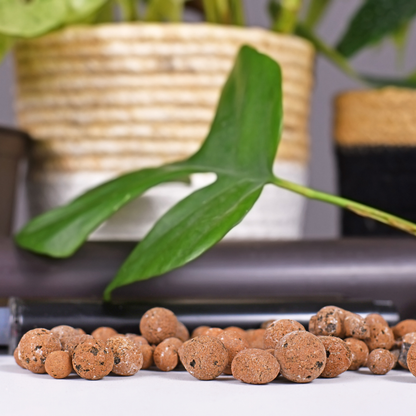 Clay balls ideal for orchid potting and hydroponic systems