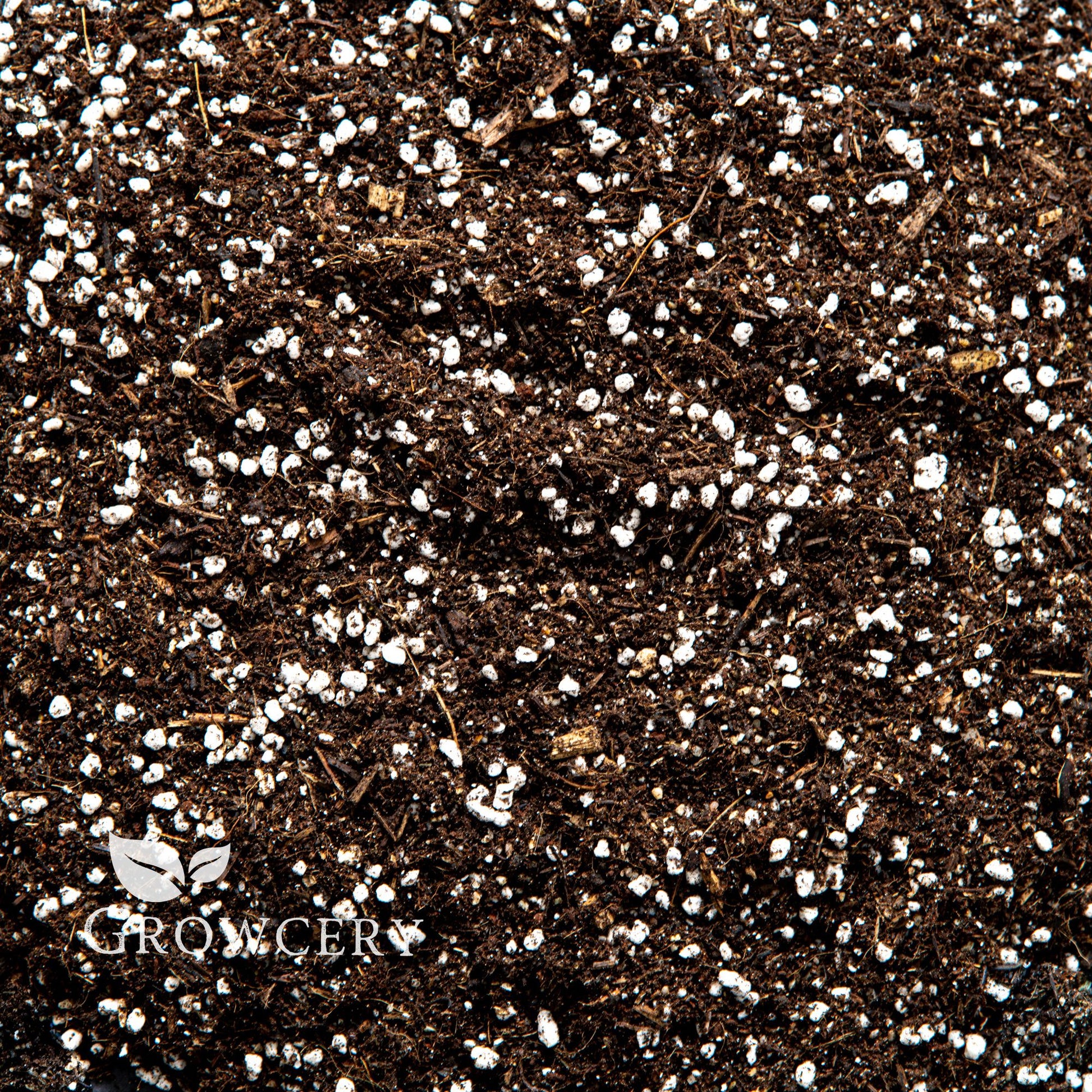 Close-up of premium cactus soil mix with organic material and perlite for succulents