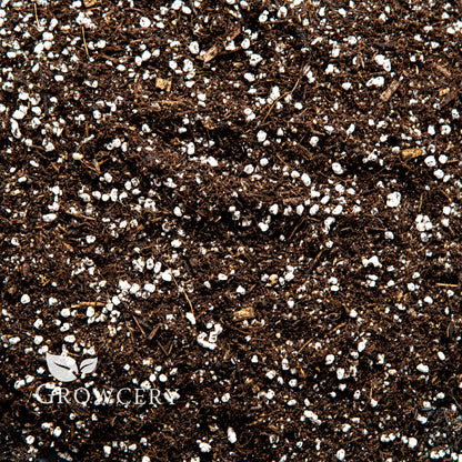 Close-up of premium cactus soil mix with organic material and perlite for succulents