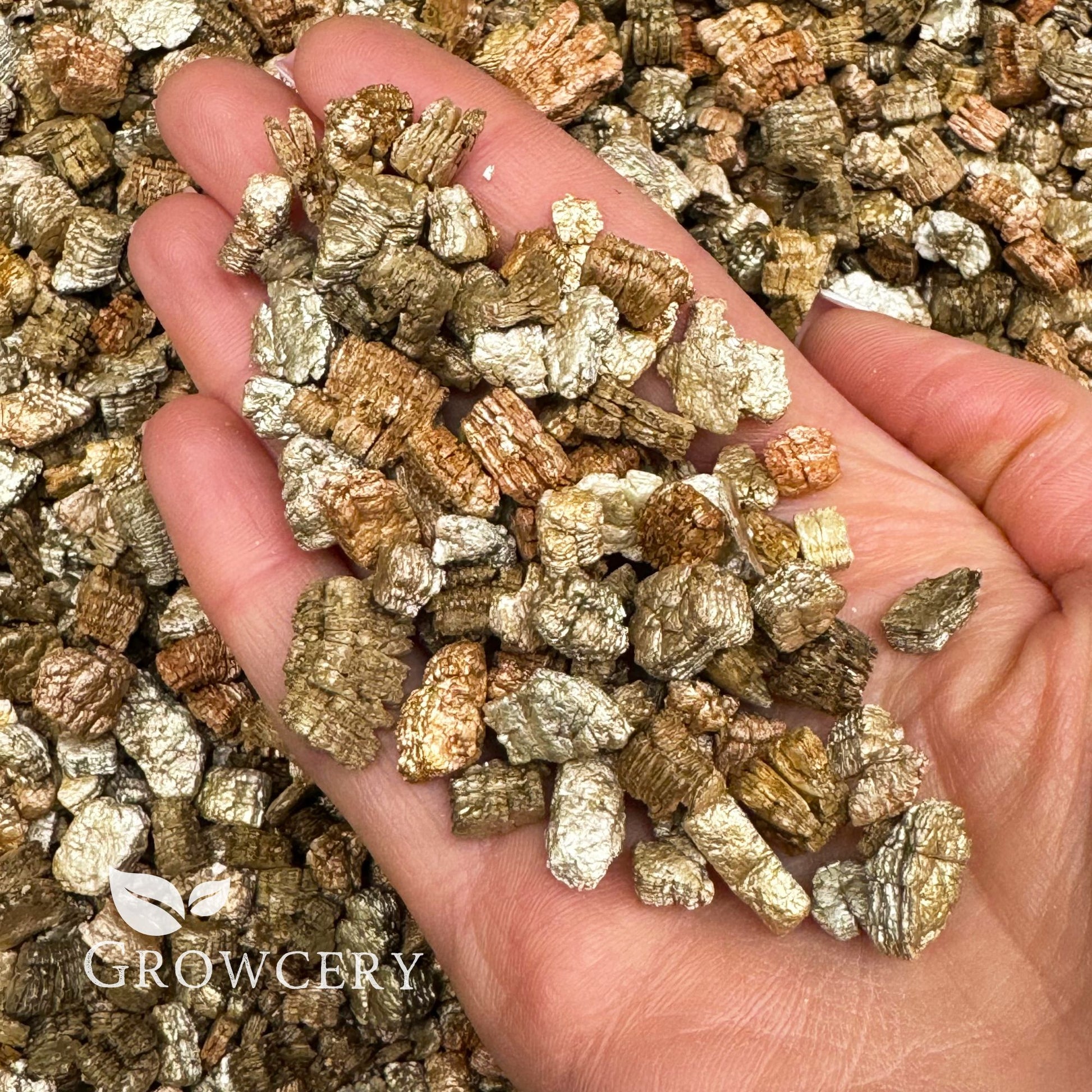 Hand holding coarse vermiculite used as a potting medium and plant compost additive
