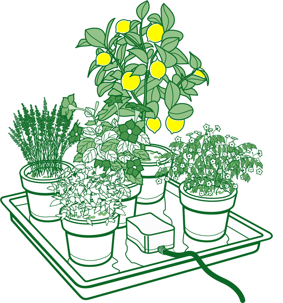 AutoPot easy2GO Kit – Automatic Holiday Watering Kit