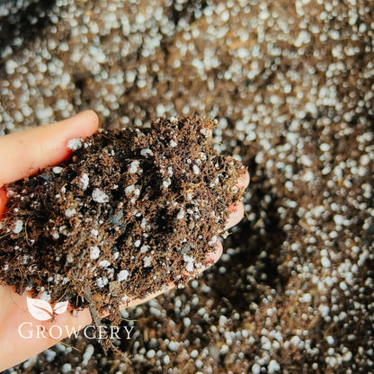 Handful of Growcery cactus and succulent potting mix with perlite – designed for optimal drainage and root aeration.