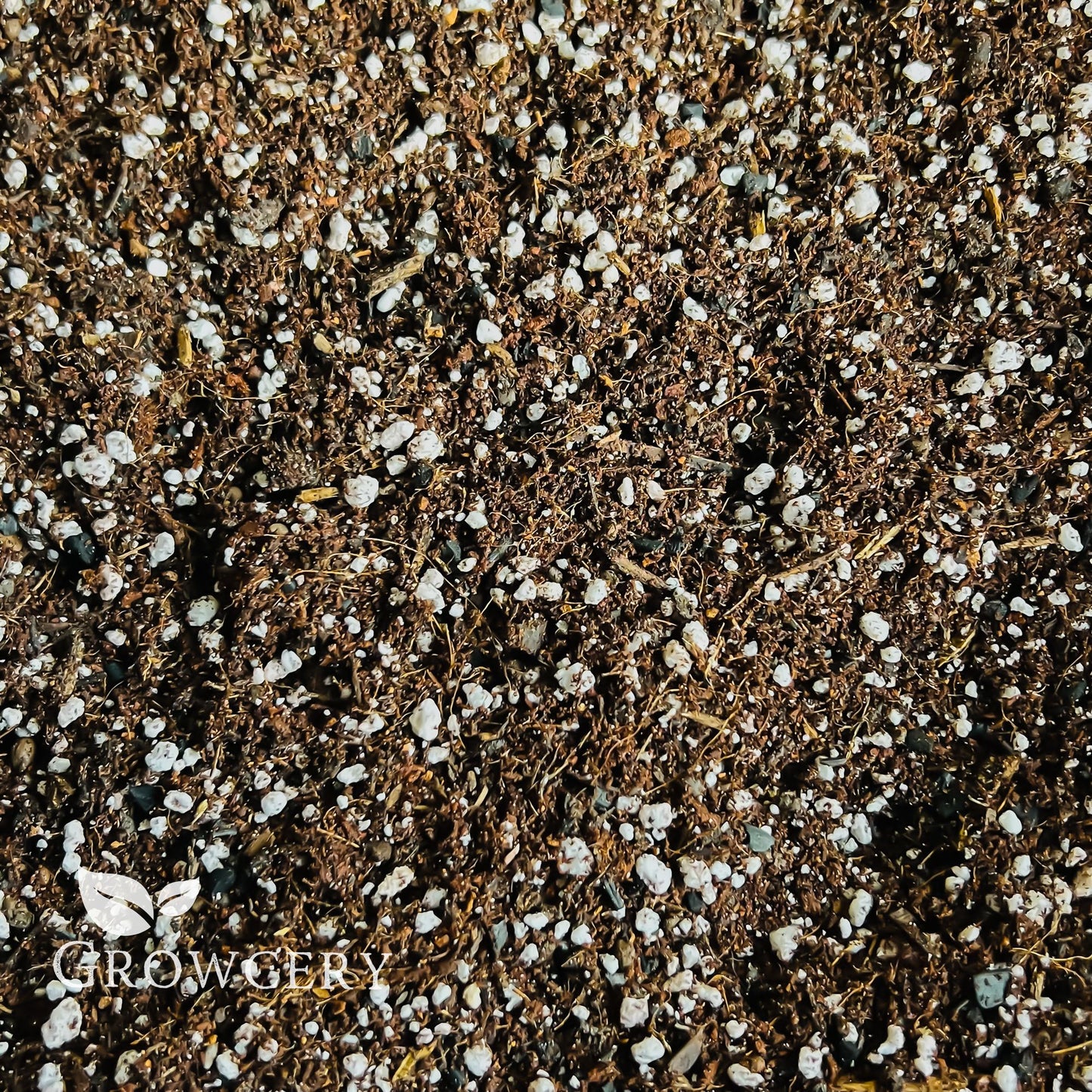 Close-up of Growcery cacti and succulent soil blend with added perlite – perfect for moisture control and healthy root development.