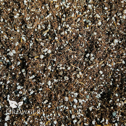Close-up of Growcery cacti and succulent soil blend with added perlite – perfect for moisture control and healthy root development.