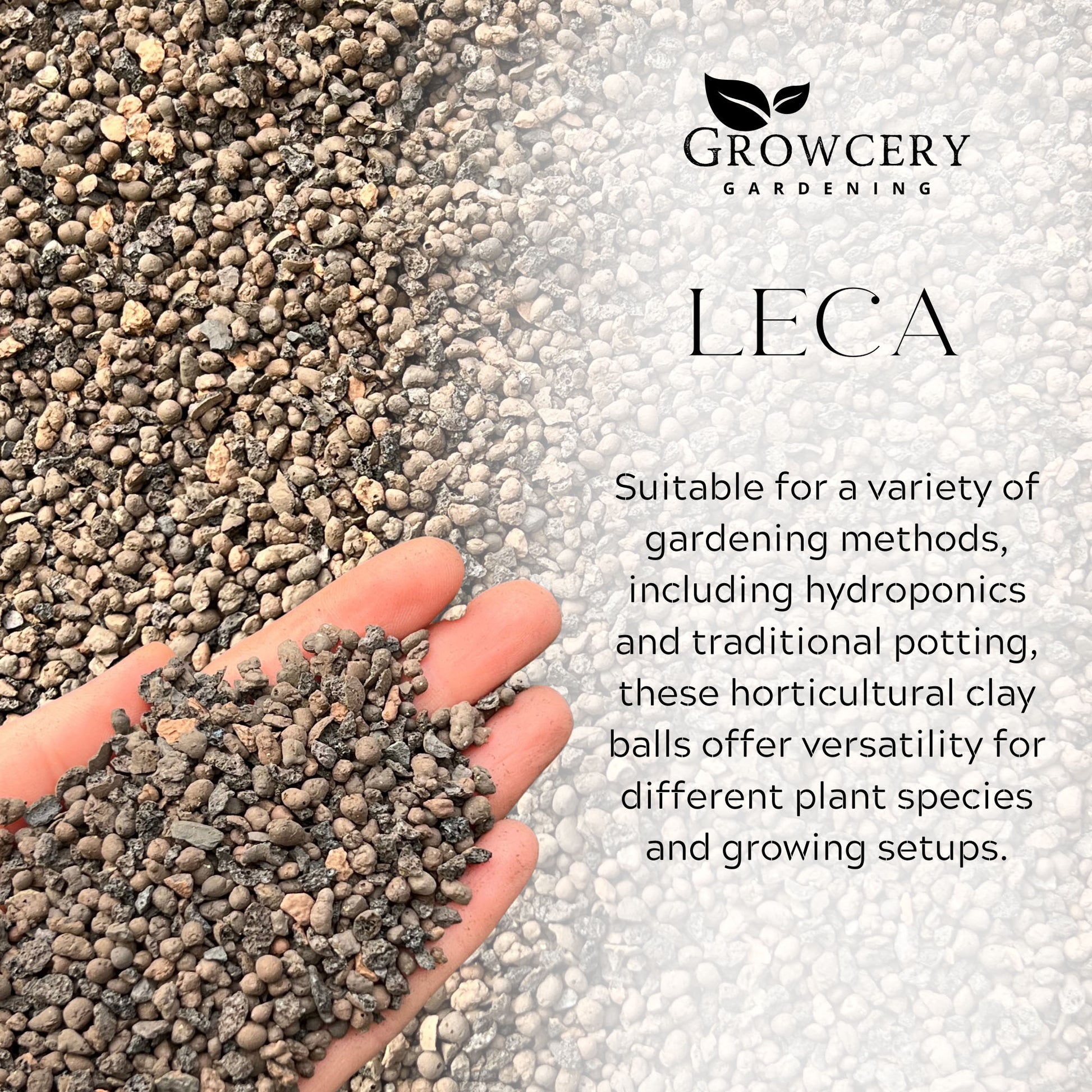 Close-up of Growcery LECA clay pebbles in hand, showing porous texture for hydroponics and traditional plant drainage.