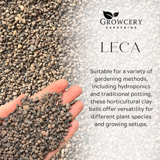 Close-up of Growcery LECA clay pebbles in hand, showing porous texture for hydroponics and traditional plant drainage.