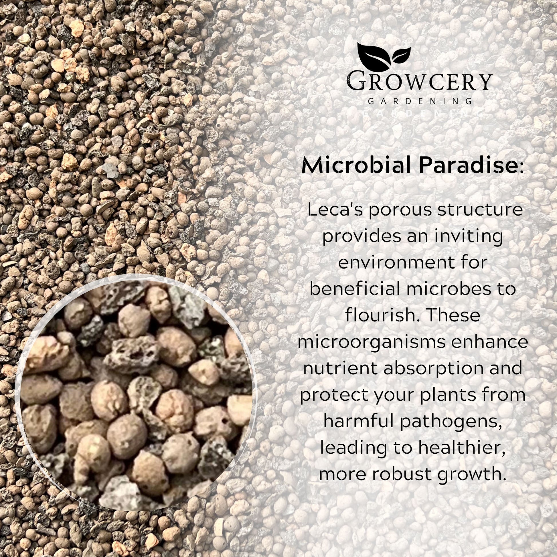Growcery LECA label explaining how its porous structure fosters beneficial microbes for plant nutrient absorption.