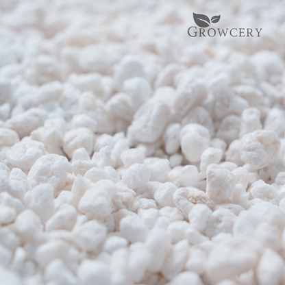Close-up macro view of Growcery perlite’s porous 2–5 mm texture