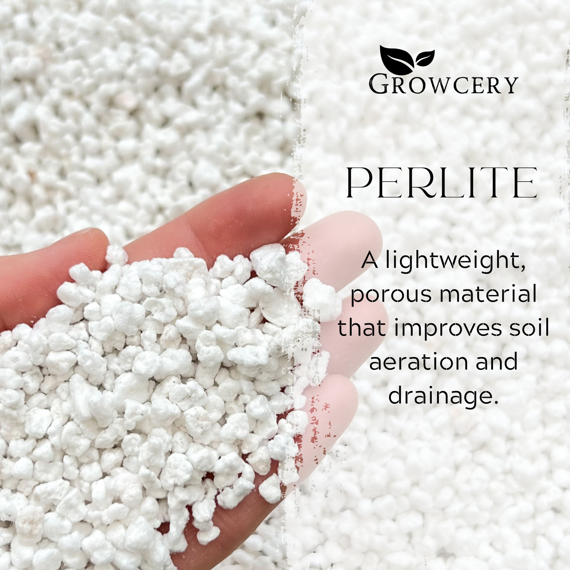 Hand holding a handful of white Growcery perlite granules with text overlay highlighting benefits for soil aeration and drainage improvement