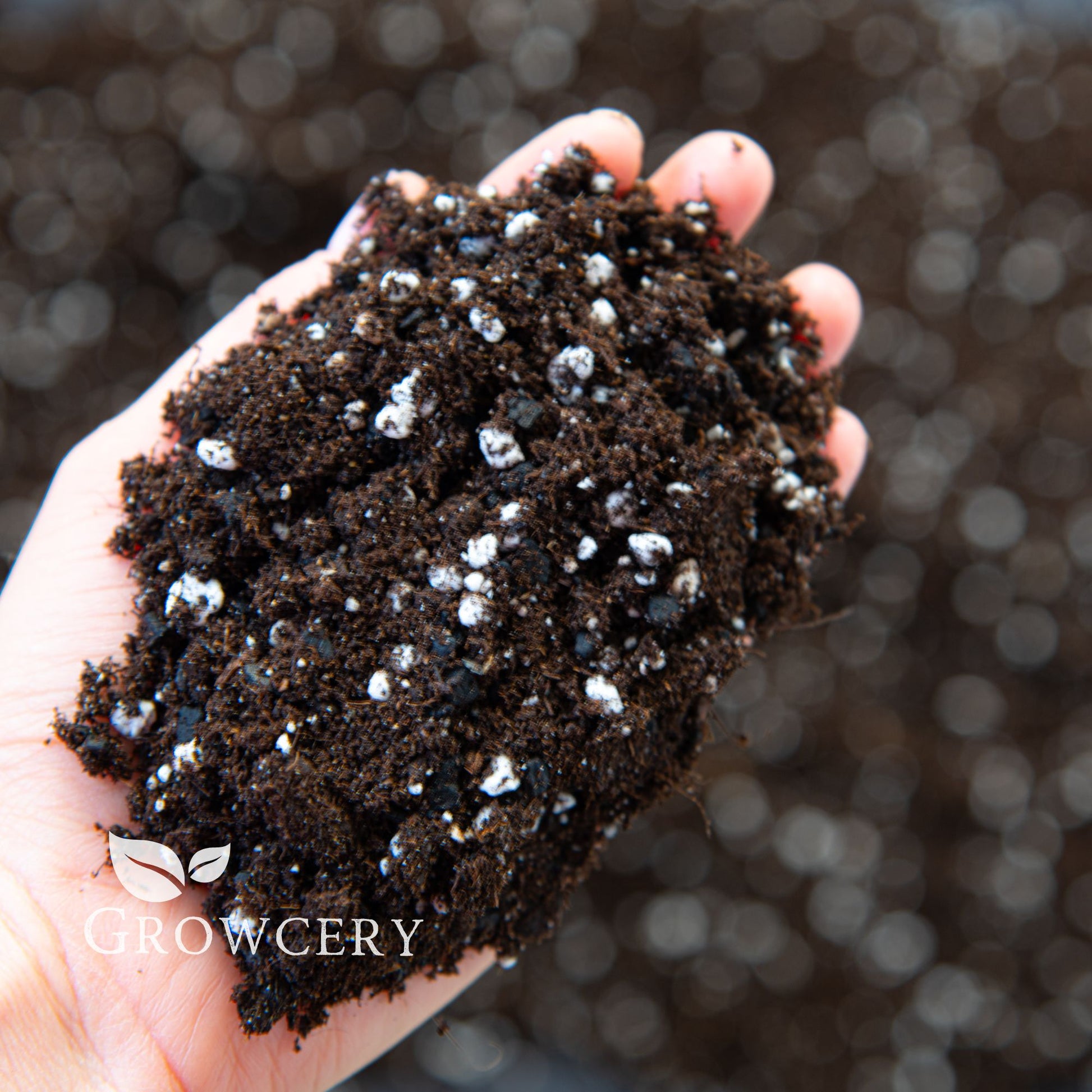 Hand holding fluffy indoor potting soil mix with biochar and perlite for houseplants and garden use