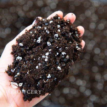 Hand holding fluffy indoor potting soil mix with biochar and perlite for houseplants and garden use