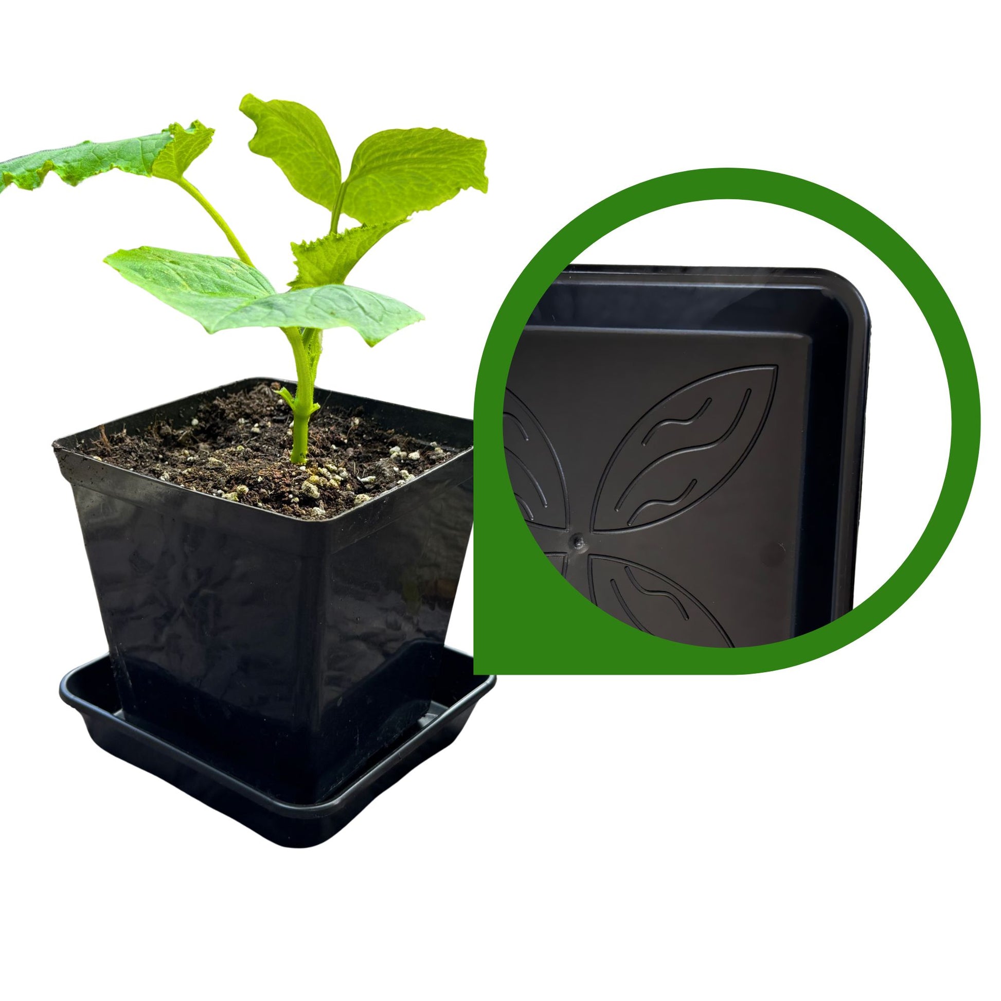 Square plant saucer with detailed bottom texture – high-quality plastic tray supporting square plant pot