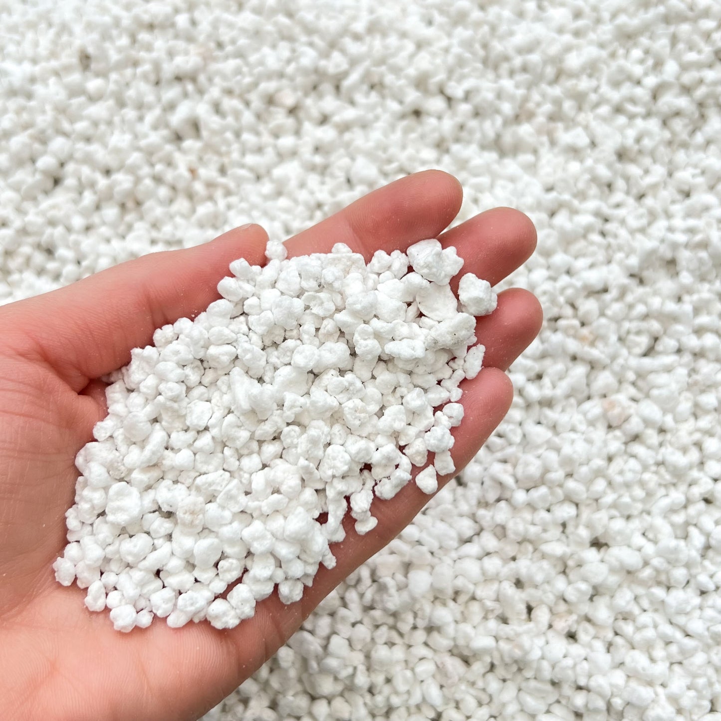 Horticultural perlite held in a hand to show its lightweight texture and particle size.