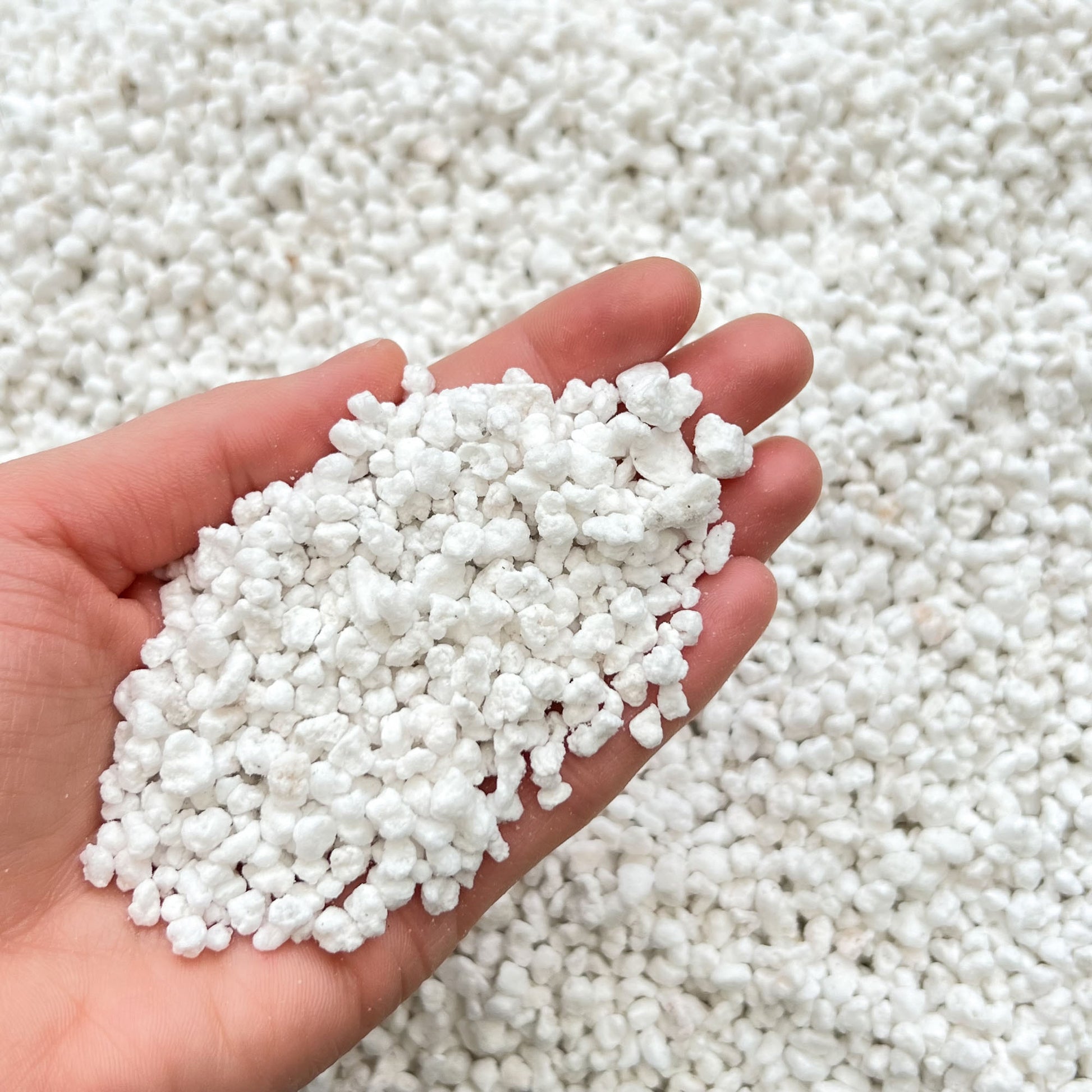 Horticultural perlite held in a hand to show its lightweight texture and particle size.