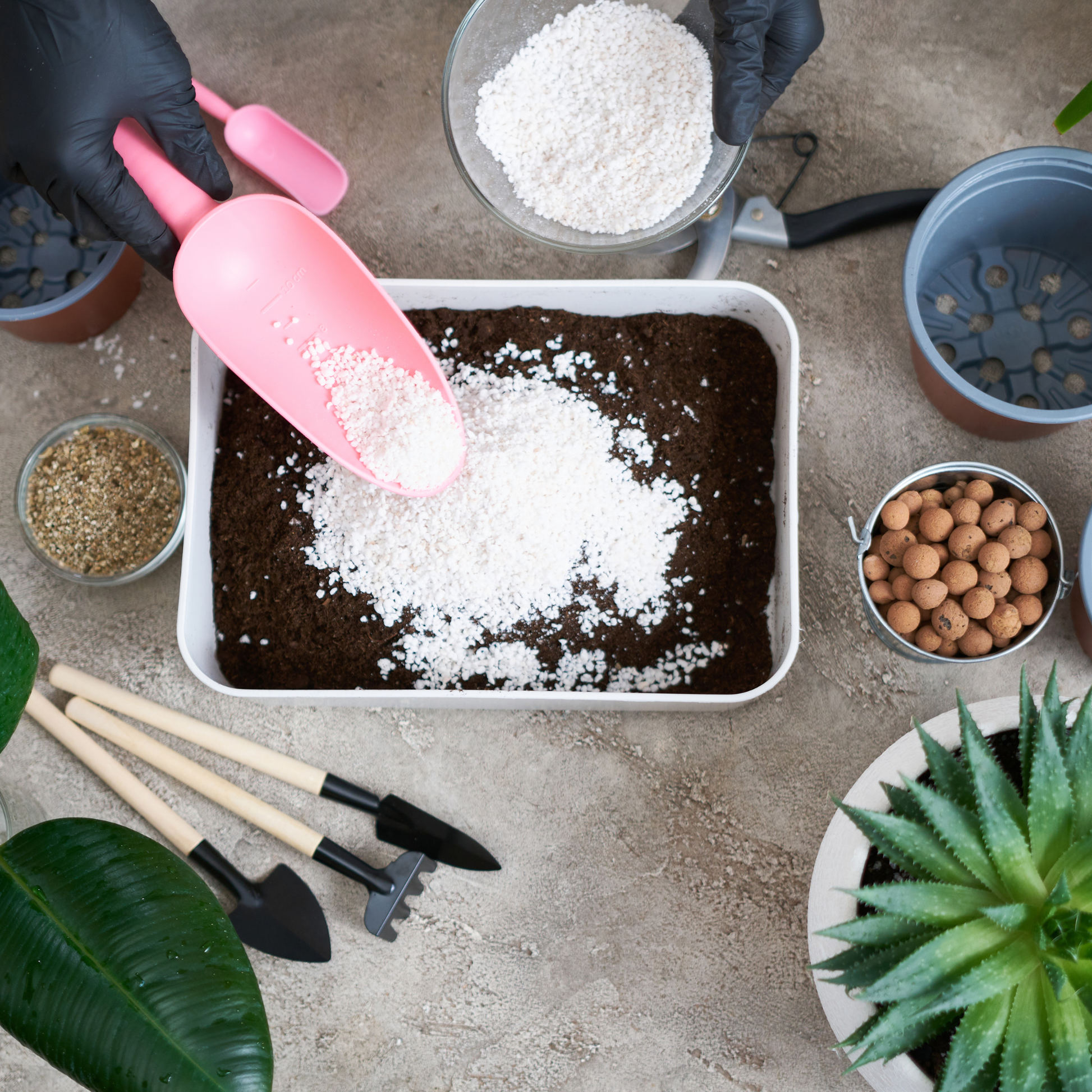 Horticultural perlite mixed with compost to improve drainage and root aeration.