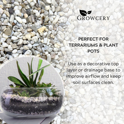 Natural aquarium gravel used as a decorative terrarium top layer and drainage substrate for plant pots to improve airflow and drainage.