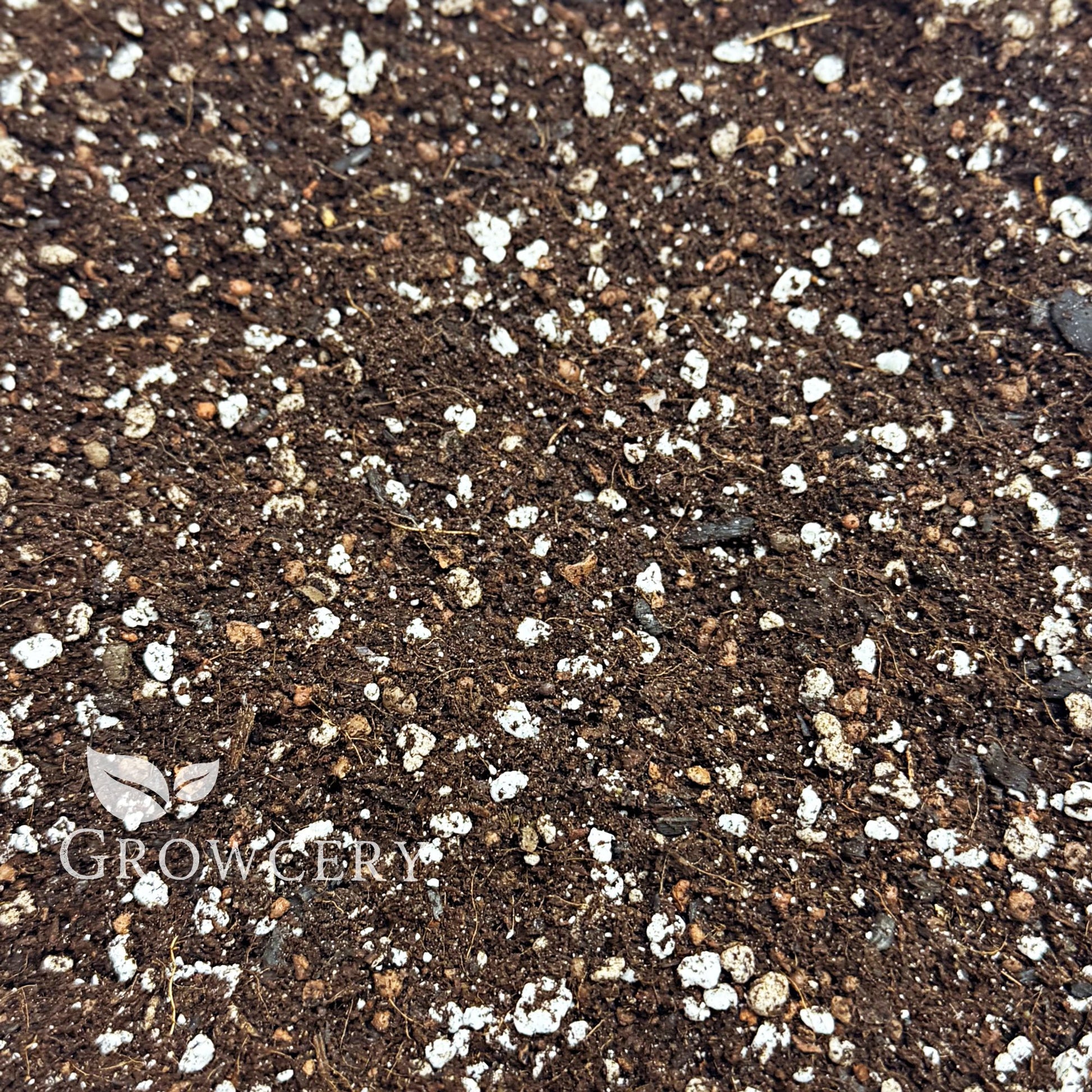 Close-up of nutrient-rich orchid potting mix with added perlite for optimal aeration and drainage.