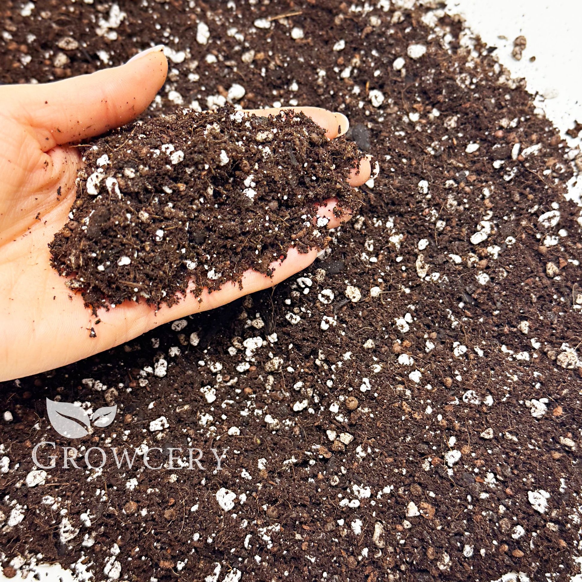 Hand holding enriched orchid potting mix with perlite – ideal for promoting healthy root growth and moisture balance.