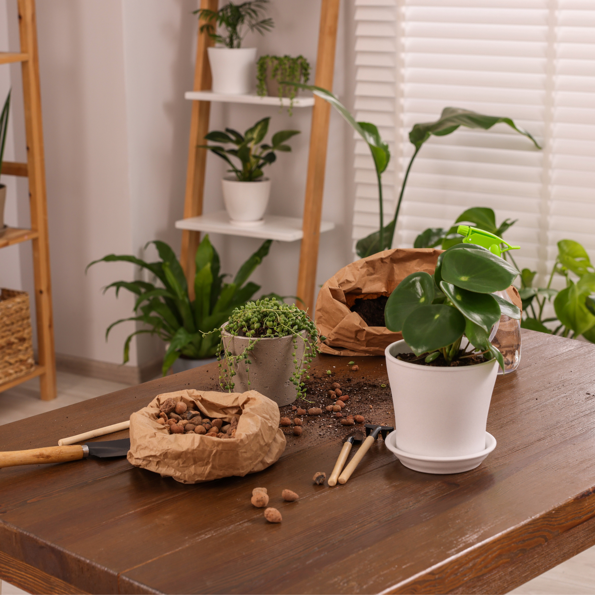 8-Quart Digital Air Fryer