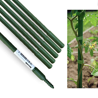 Plant support stick used with tomato plant, showing garden staking system