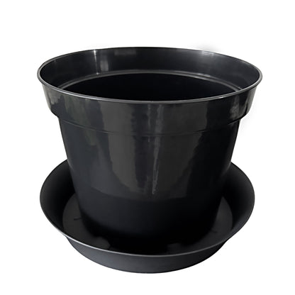 Round plant pot sitting inside matching saucer – full view