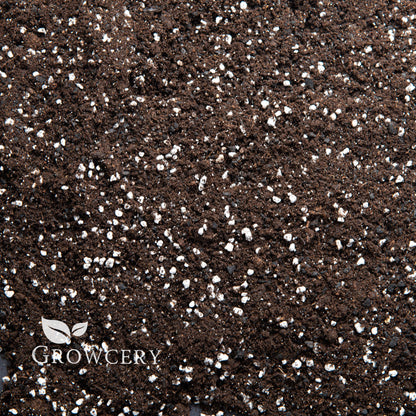 Close-up view of houseplant potting soil with biochar and perlite, ideal for indoor plant and garden soil use