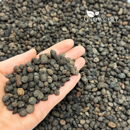 Hand holding a handful of 4–10 mm expanded clay aggregate demonstrating ideal drainage media in greenhouse or container garden